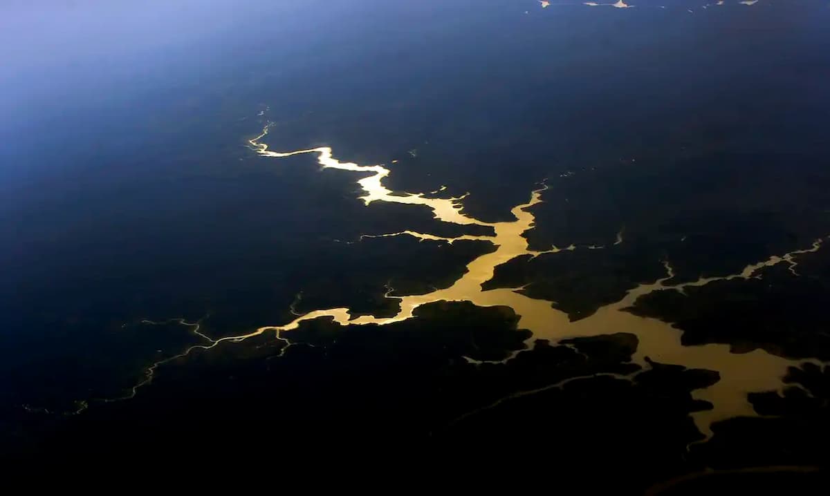 Captura de carbono na Amazônia está em risco, diz estudo